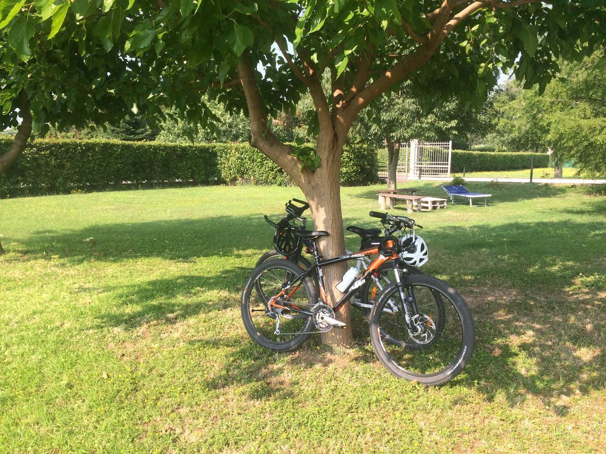 Agriturismo Crocerone Bassano del Grappa Eksteriør billede